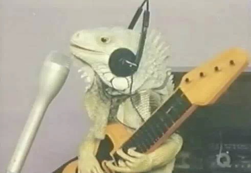 Sylvester Chord